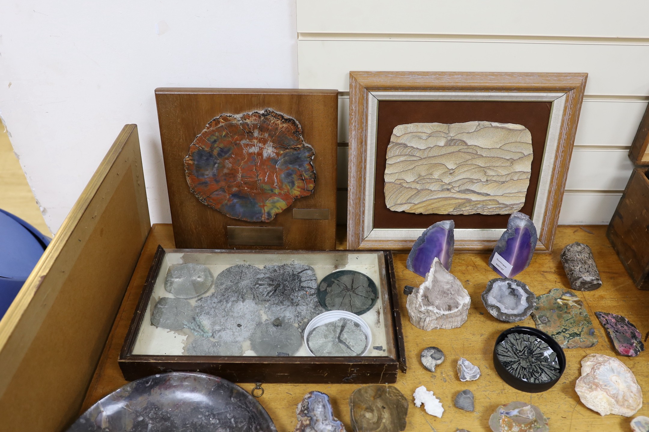 An interesting collection of fossils, polished marble, petrified wood etc.